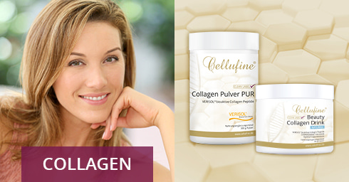 Collagen