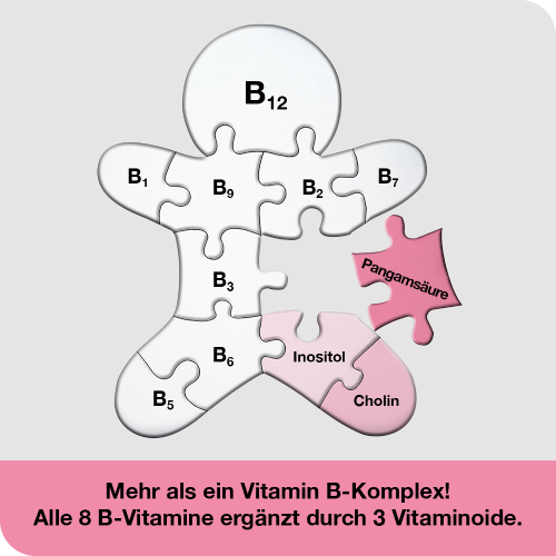 VITAMIN B-LOGES komplett Filmtabletten