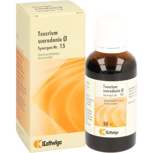 SYNERGON KOMPLEX 15 Teucrium Urtinktur