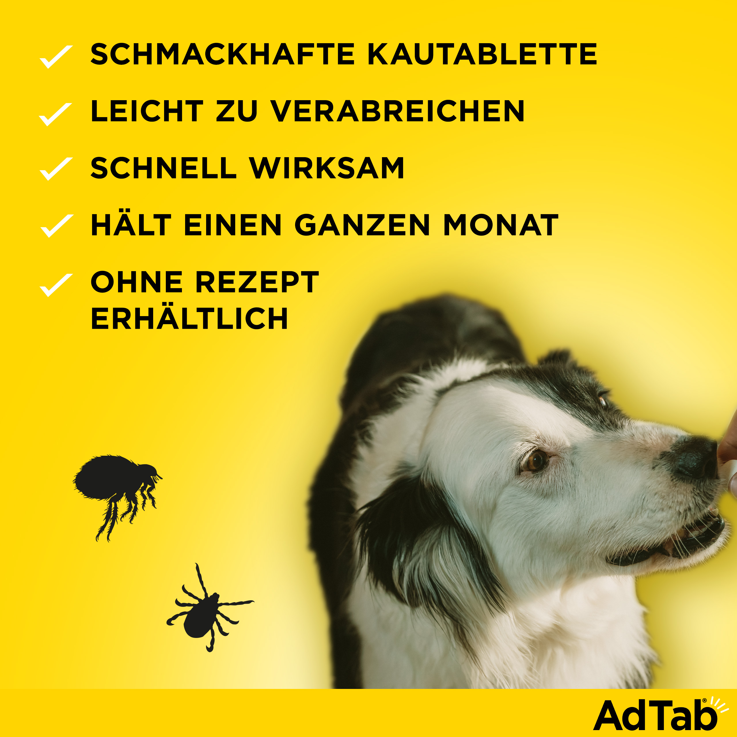 ADTAB 112 mg Kautabletten für Hunde >2,5—5,5 kg