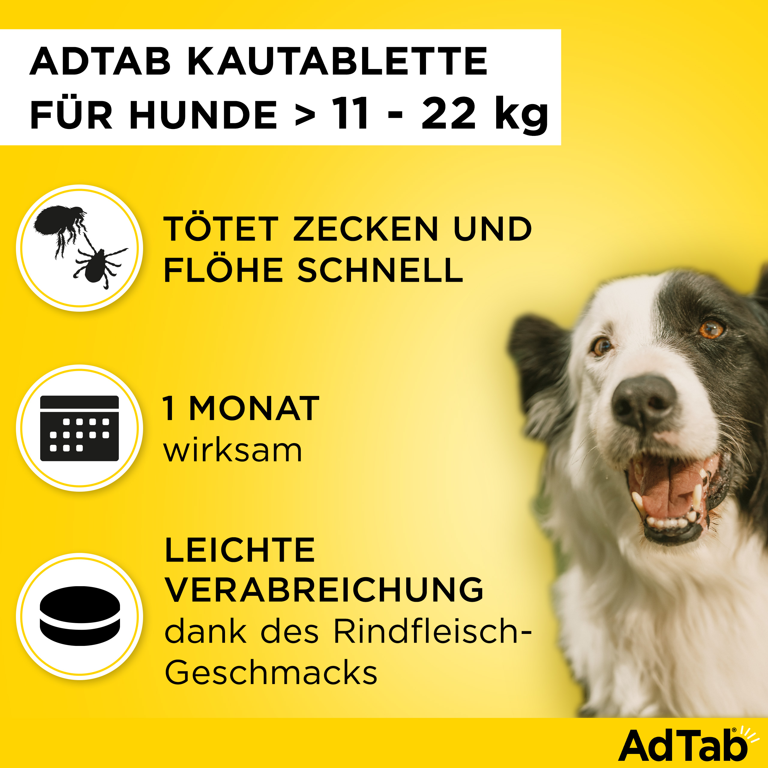 ADTAB 450 mg Kautabletten für Hunde >11-22 kg