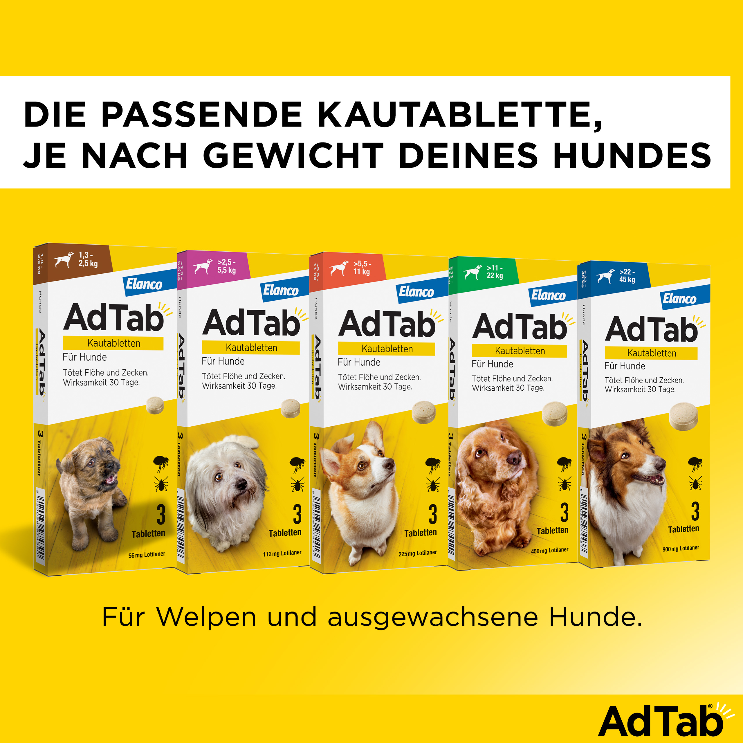 ADTAB 900 mg Kautabletten für Hunde >22-45 kg