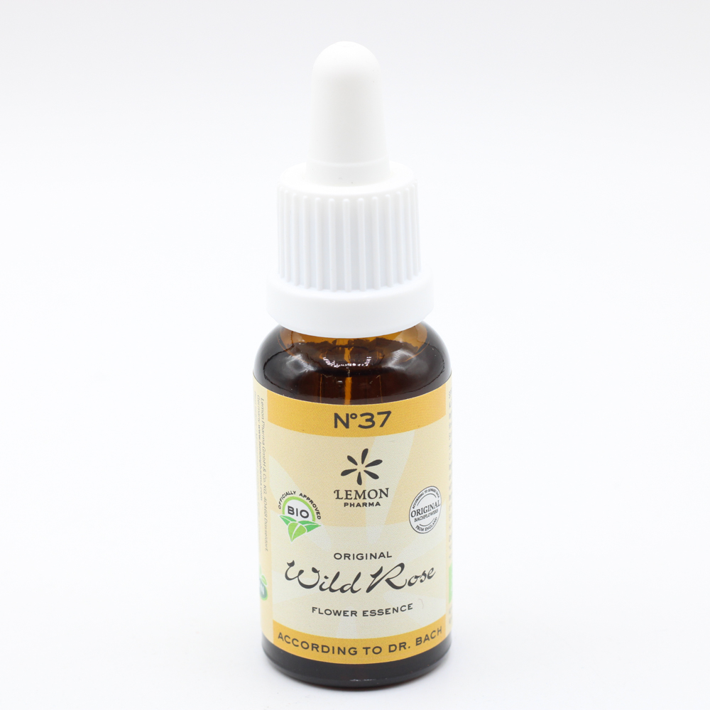 BACHBLÜTEN No.37 Wild Rose Bio