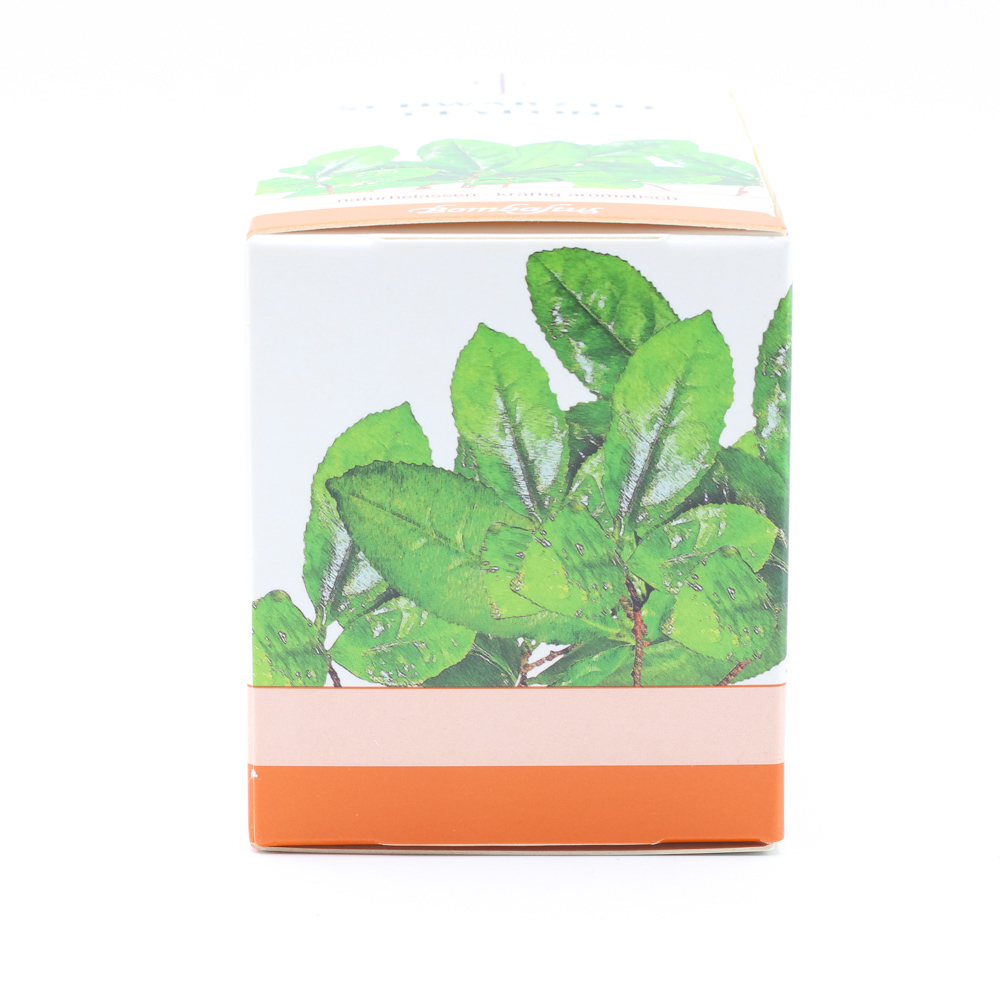 SCHWARZTEE Ceylon Mischung Filterbeutel