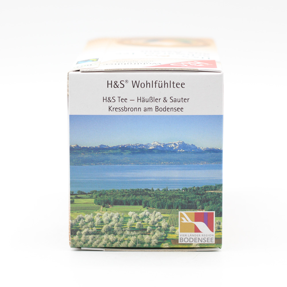 H&S Bio Schwarzer Tee aus Assam Filterbeutel