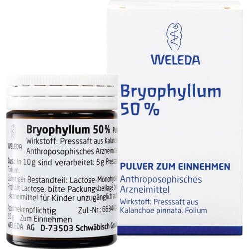 BRYOPHYLLUM 50% Pulver zum Einnehmen